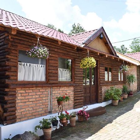Panorama Lomnica Bed & Breakfast Despotovac Exterior foto