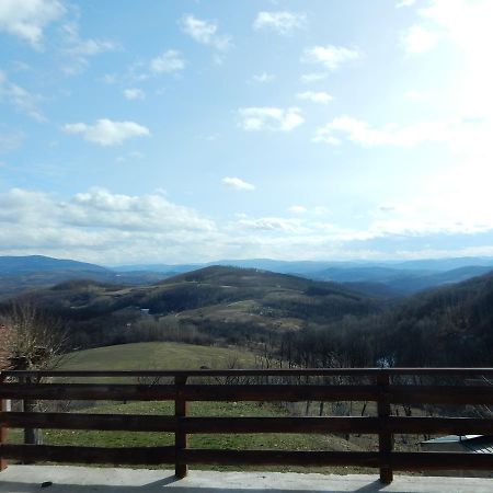 Panorama Lomnica Bed & Breakfast Despotovac Exterior foto