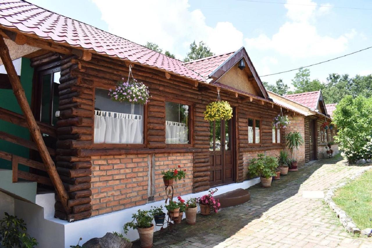 Panorama Lomnica Bed & Breakfast Despotovac Exterior foto