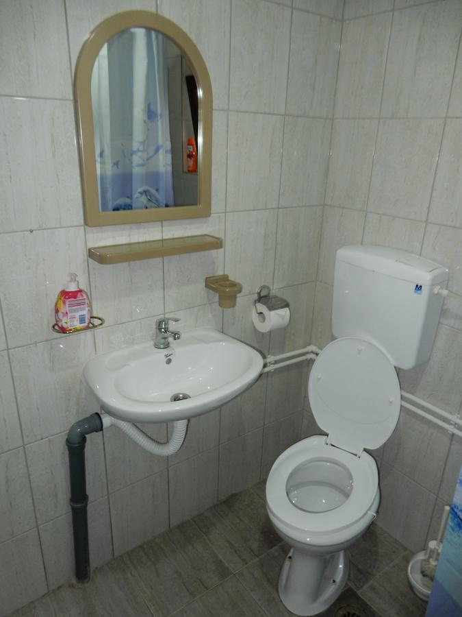 Panorama Lomnica Bed & Breakfast Despotovac Exterior foto