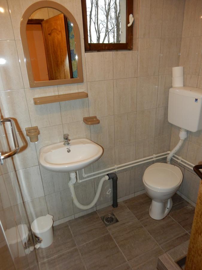 Panorama Lomnica Bed & Breakfast Despotovac Exterior foto