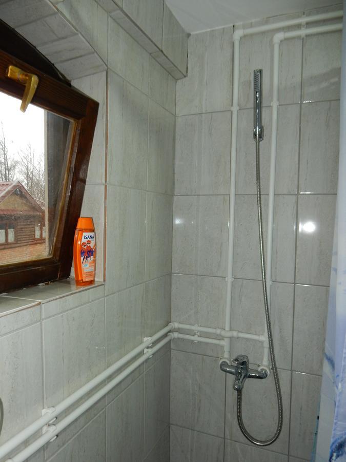 Panorama Lomnica Bed & Breakfast Despotovac Exterior foto