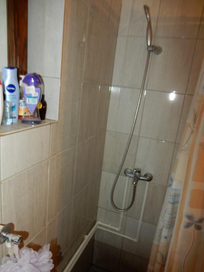 Panorama Lomnica Bed & Breakfast Despotovac Exterior foto