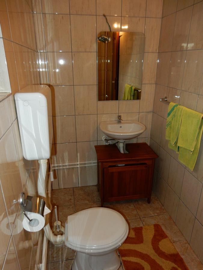 Panorama Lomnica Bed & Breakfast Despotovac Exterior foto