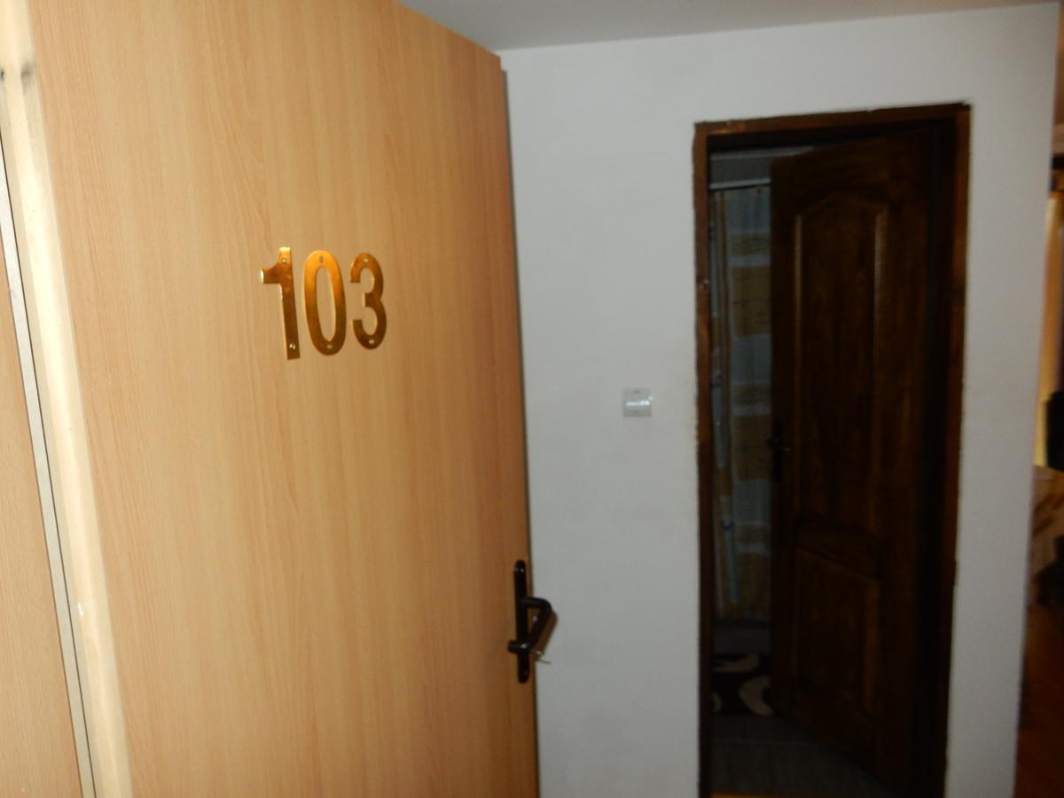 Panorama Lomnica Bed & Breakfast Despotovac Exterior foto