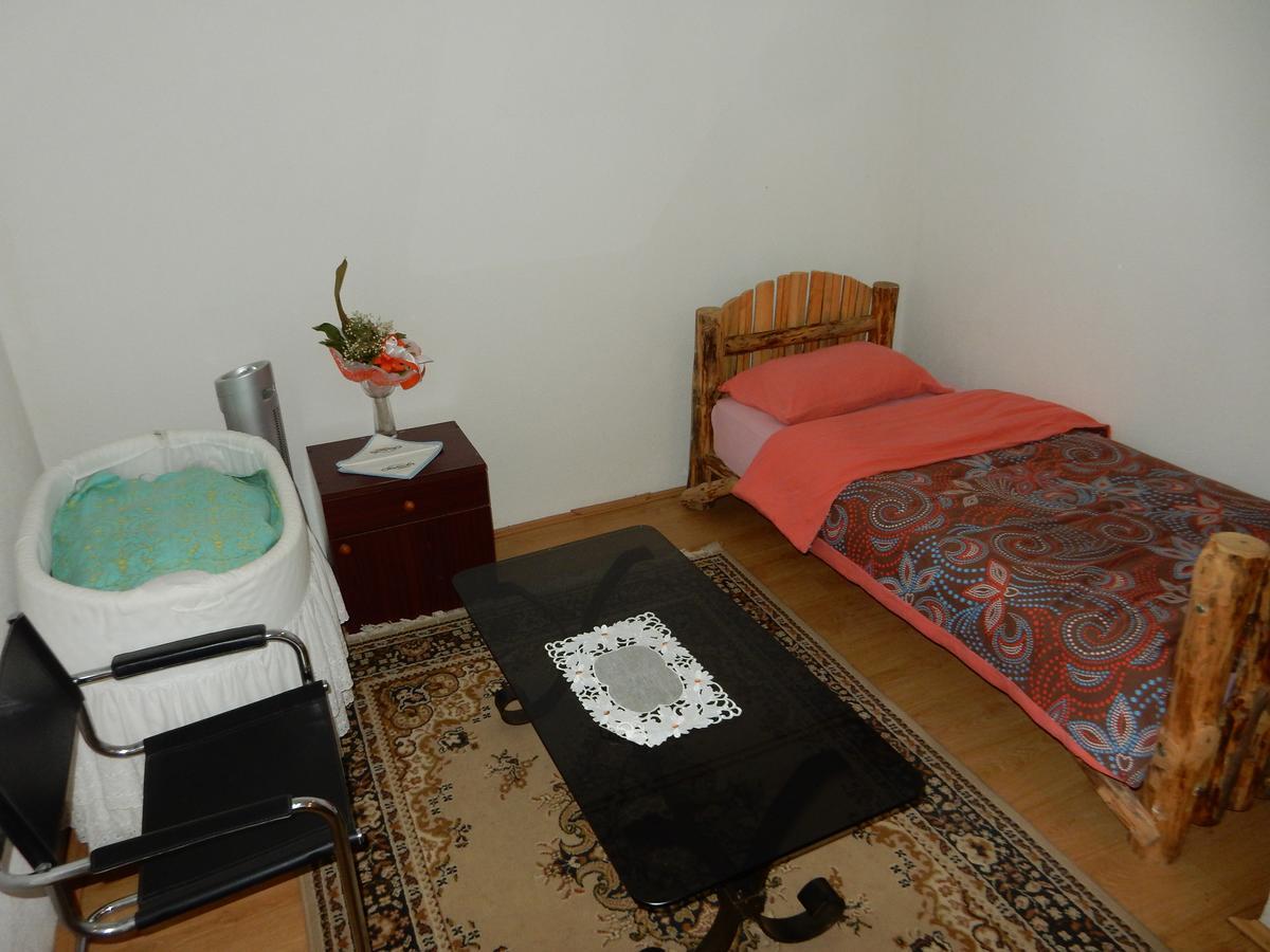 Panorama Lomnica Bed & Breakfast Despotovac Exterior foto