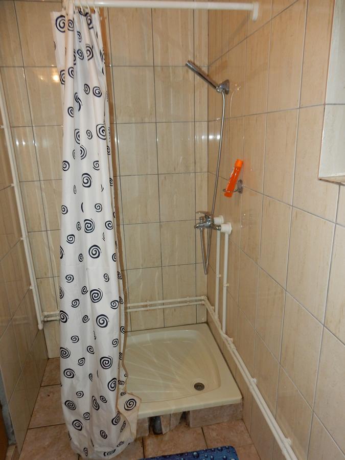 Panorama Lomnica Bed & Breakfast Despotovac Exterior foto