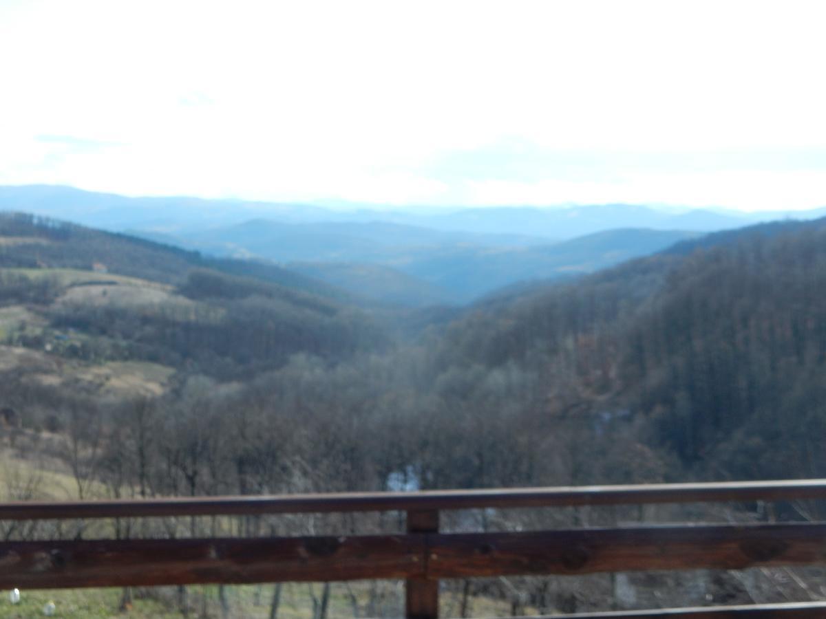 Panorama Lomnica Bed & Breakfast Despotovac Exterior foto