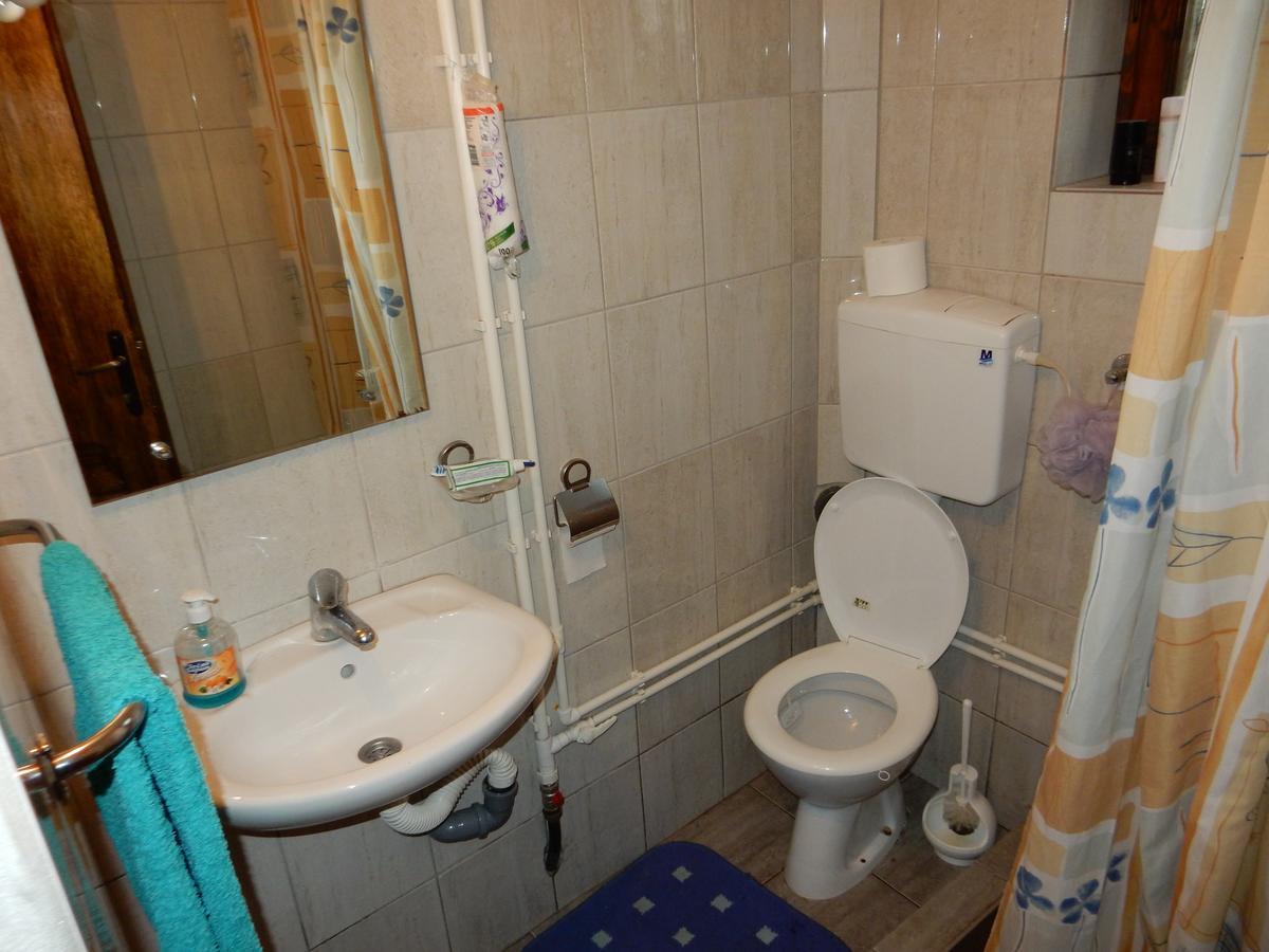 Panorama Lomnica Bed & Breakfast Despotovac Exterior foto