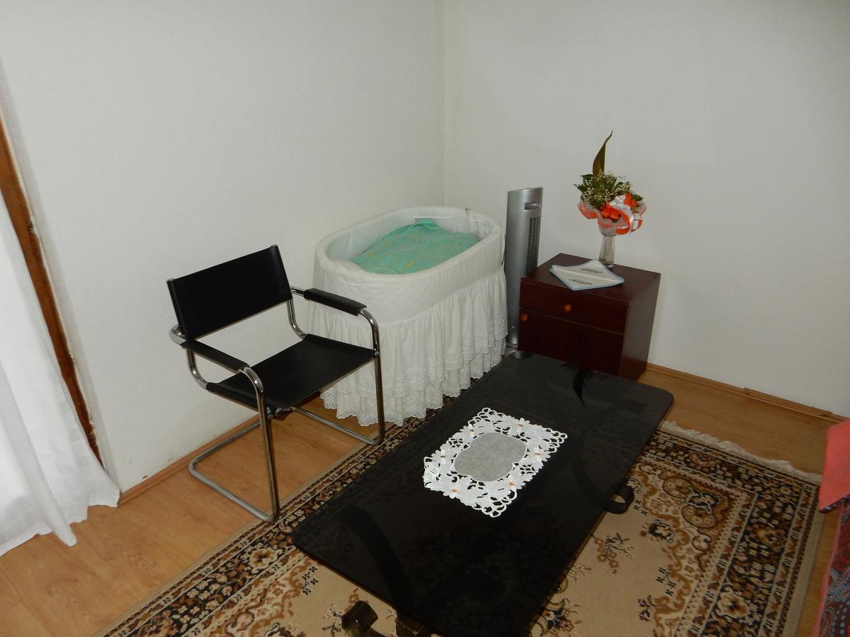 Panorama Lomnica Bed & Breakfast Despotovac Exterior foto